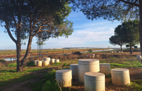 Espacio al aire libre con mobiliario urbano en forma de cilindros, rodeado de árboles y con un paisaje natural al fondo.